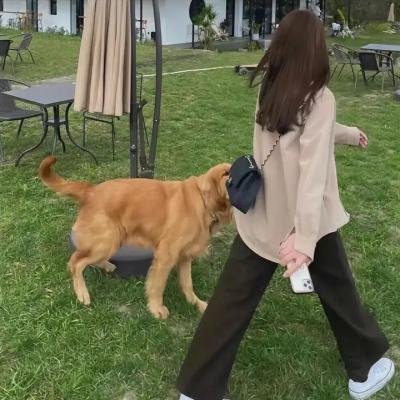 生命宛如幽暗长河